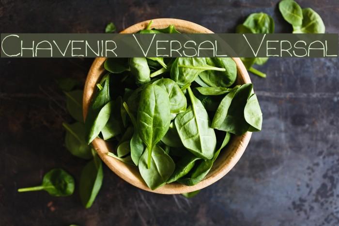 Chavenir Versal Versal Font examples
