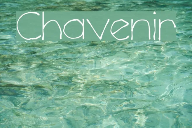 Chavenir Example 2