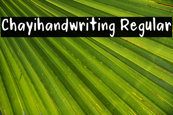 Chayihandwriting Regular Example 1