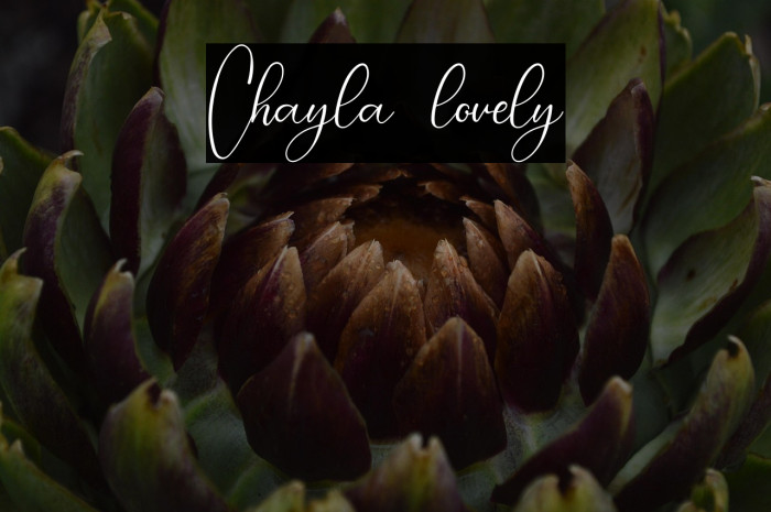 Chayla lovely Example 1