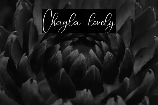 Chayla lovely Font examples