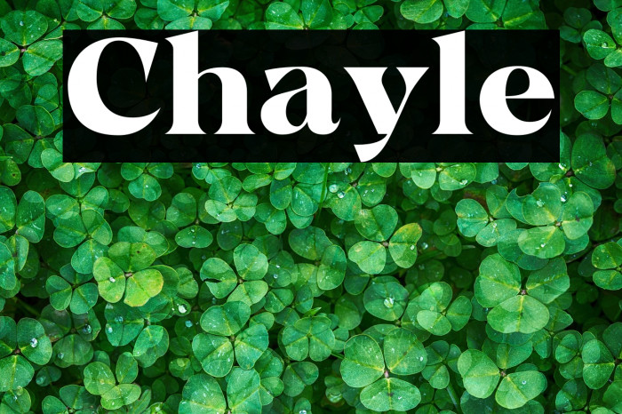 Chayle Example 3