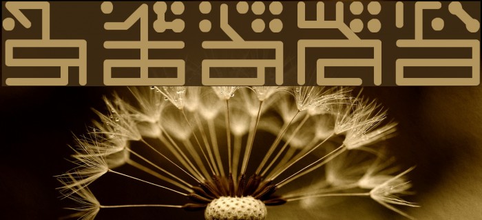 Chayotologi Font examples