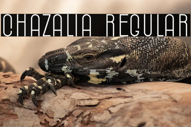 Chazalia Regular Example 2
