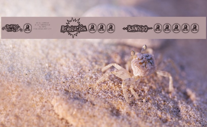 Che Viva Banana Font examples