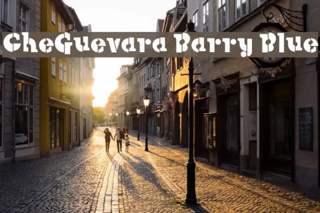 CheGuevara Barry Blue Example 3