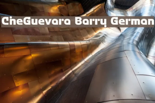 CheGuevara Barry German Example 1