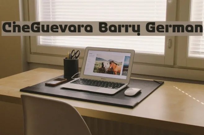 CheGuevara Barry German Example 2