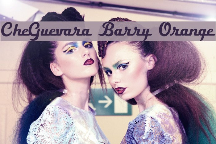 CheGuevara Barry Orange Caratteri examples