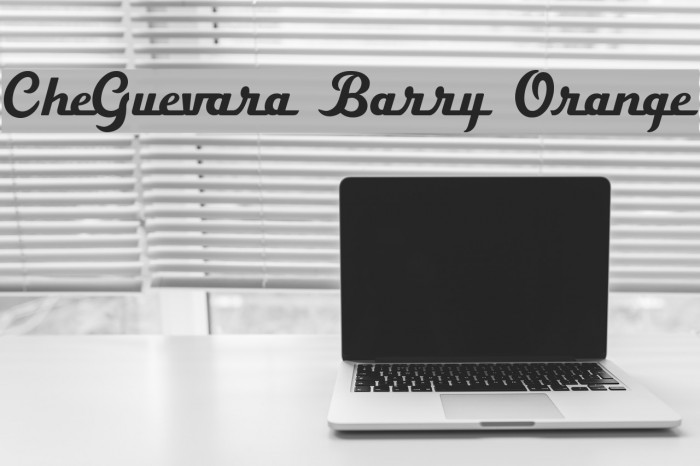 CheGuevara Barry Orange Caratteri examples