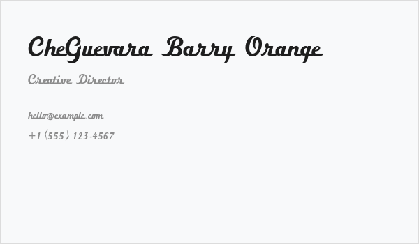 CheGuevara Barry Orange Business Card