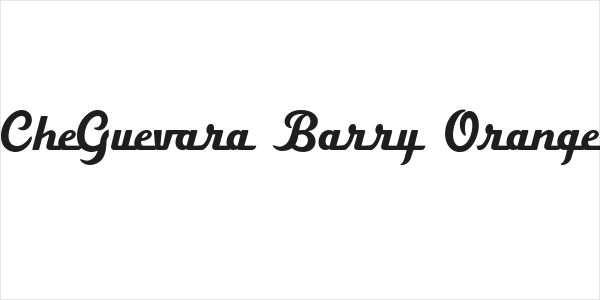 CheGuevara Barry Orange Logo