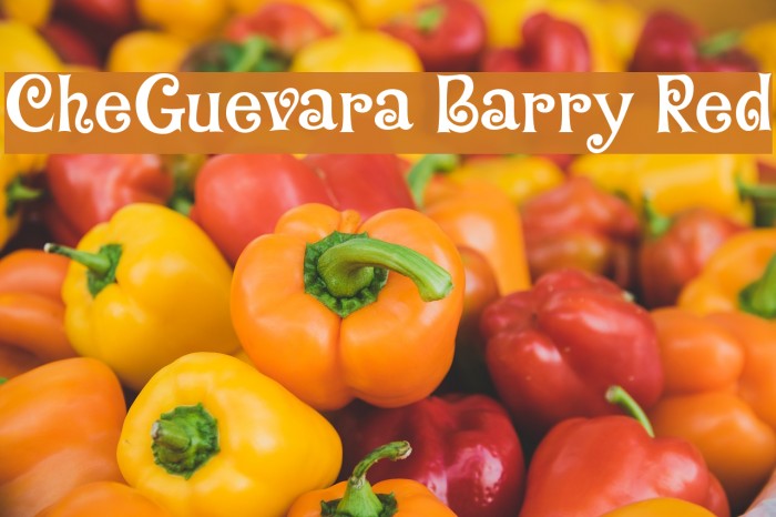 CheGuevara Barry Red Font examples