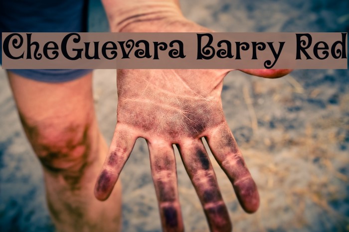 CheGuevara Barry Red Font examples