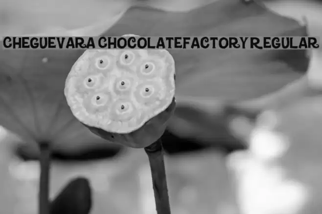 CheGuevara ChocolateFactory Regular Font examples