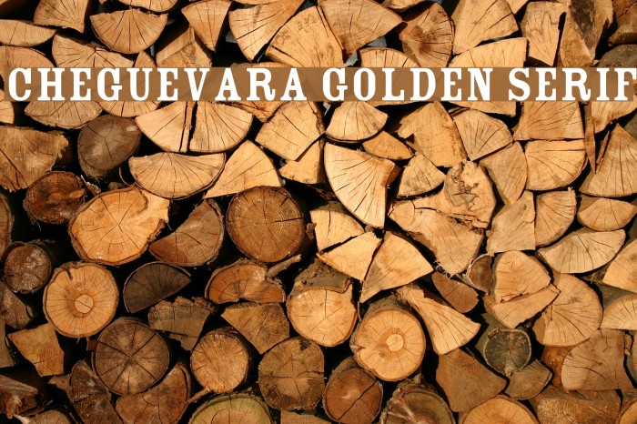 CheGuevara Golden Serif Font examples