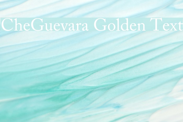 CheGuevara Golden Text Font examples
