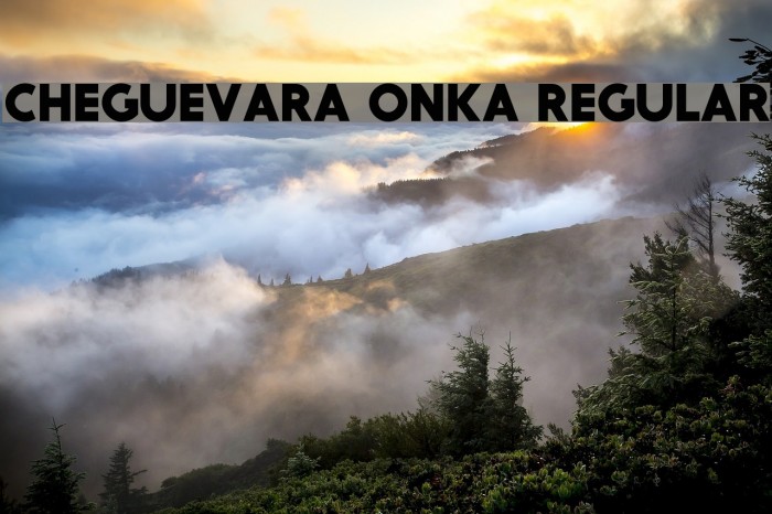CheGuevara ONKA Regular Font examples