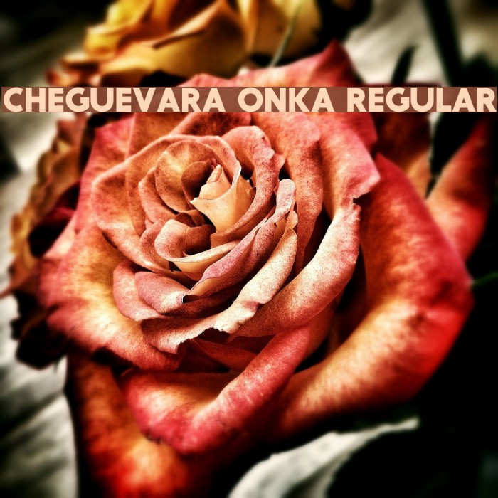 CheGuevara ONKA Regular Font examples