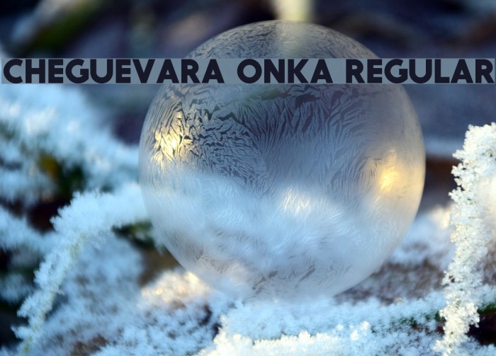 CheGuevara ONKA Regular Font examples
