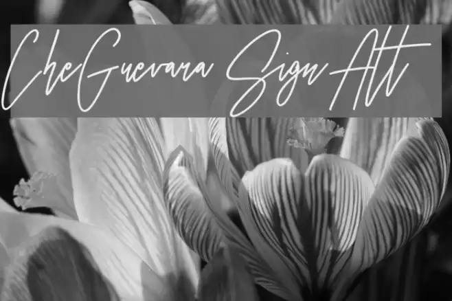 CheGuevara Sign Alt Font examples