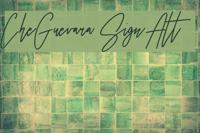 CheGuevara Sign Alt Font examples