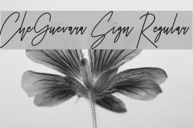 CheGuevara Sign Regular Fuentes examples