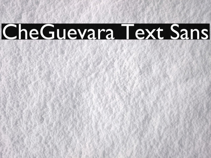 CheGuevara Text Sans Font examples