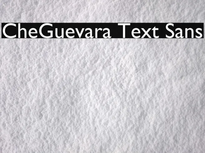 CheGuevara Text Sans Example 1