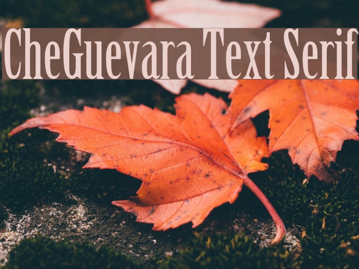 CheGuevara Text Serif Font examples