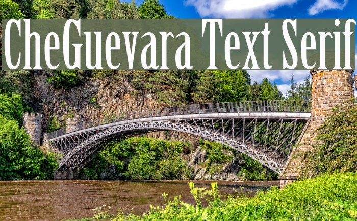 CheGuevara Text Serif Font examples