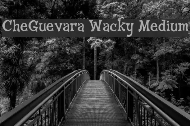 CheGuevara Wacky Medium Font examples