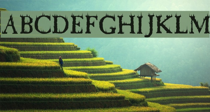 Cheap Fire Example 1