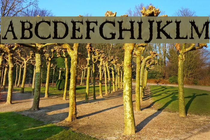 Cheap Fire Example 3