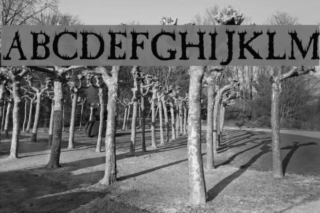 Cheap Fire Font examples