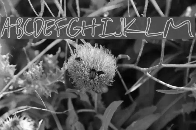 Cheap Pizza Caratteri examples