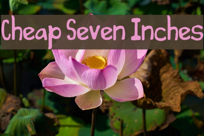 Cheap Seven Inches Font examples