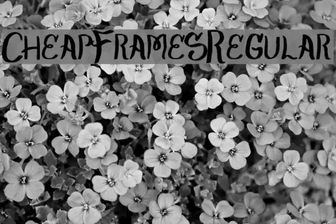 CheapFrames-Regular Font examples