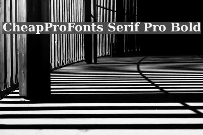 CheapProFonts Serif Pro Bold Polices examples