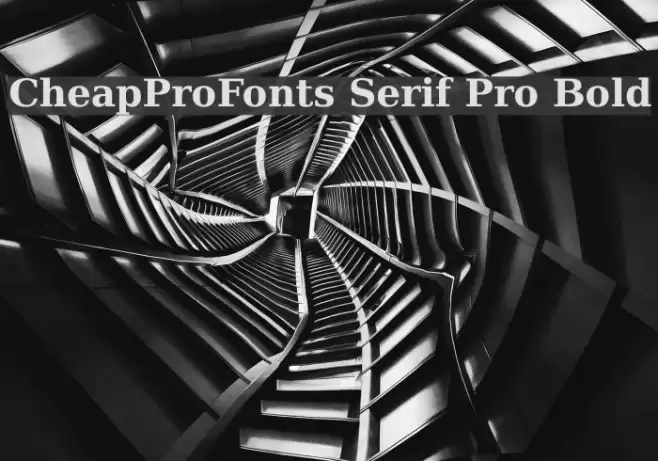 CheapProFonts Serif Pro Bold Polices examples