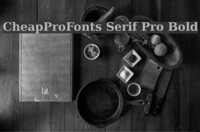 CheapProFonts Serif Pro Bold Polices examples