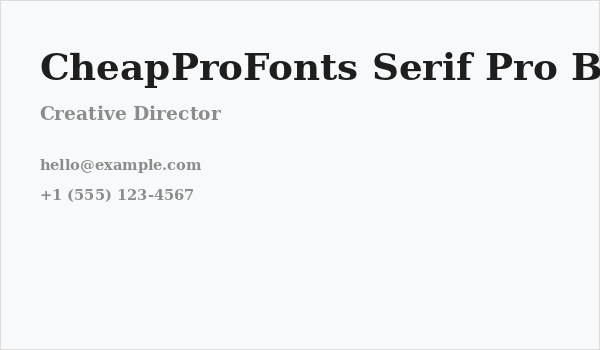 CheapProFonts Serif Pro Bold Business Card