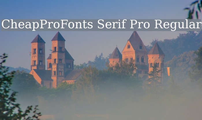 CheapProFonts Serif Pro Regular Font examples