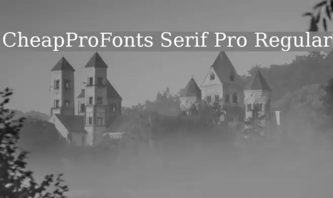 CheapProFonts Serif Pro Regular Шрифта examples