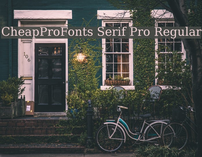 CheapProFonts Serif Pro Regular Font examples