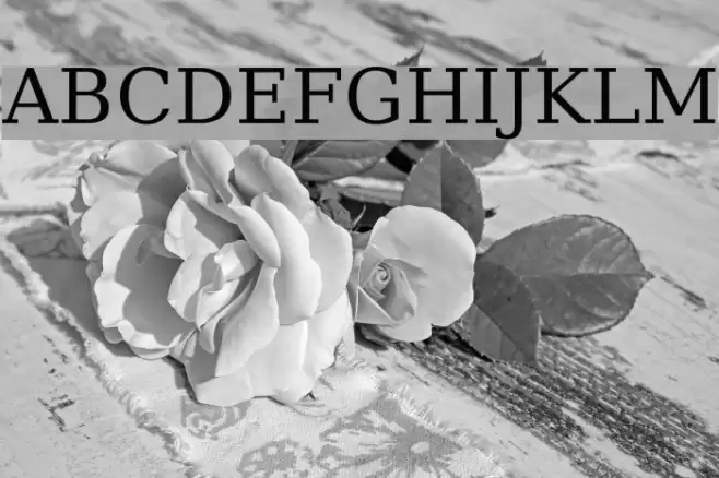 CheapProFontsSerifPro-Regular Font examples