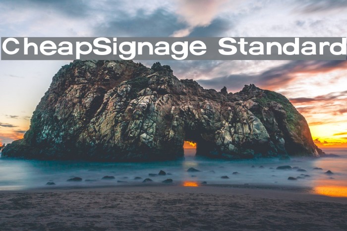 CheapSignage Standard Font examples