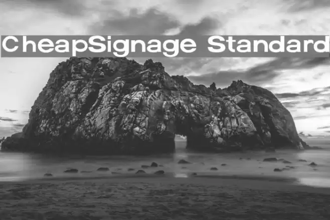CheapSignage Standard Font examples