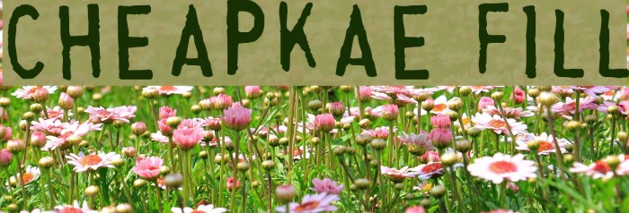 Cheapskate Fill Font examples