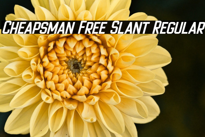 Cheapsman Free Slant Regular Example 3